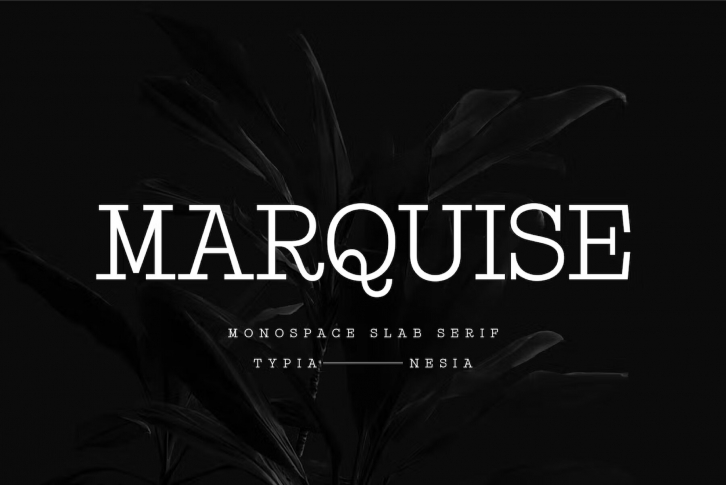 Marquise Font Font Download