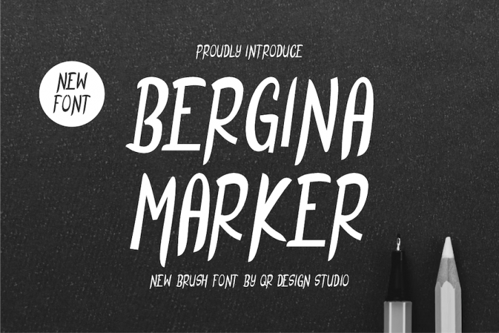 Bergina Marker Font Font Download