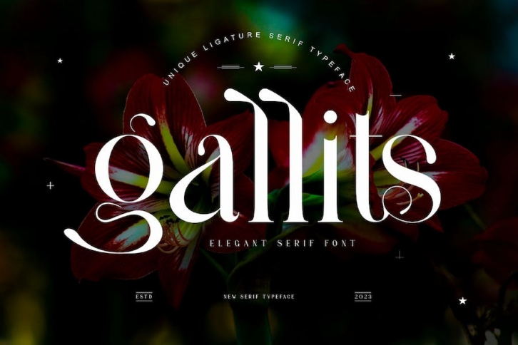 Gallits Ligature Serif Typeface Font Download