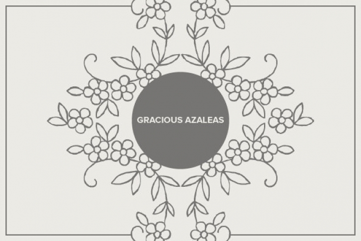 Gracious Azaleas Font Font Download