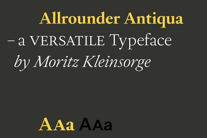 Allrounder Antiqua Font Font Download