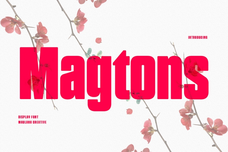 Magtons Font Font Download