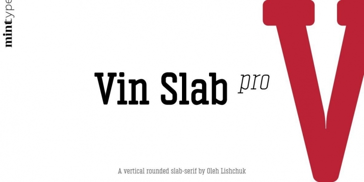 Vin Slab Pro Font Font Download