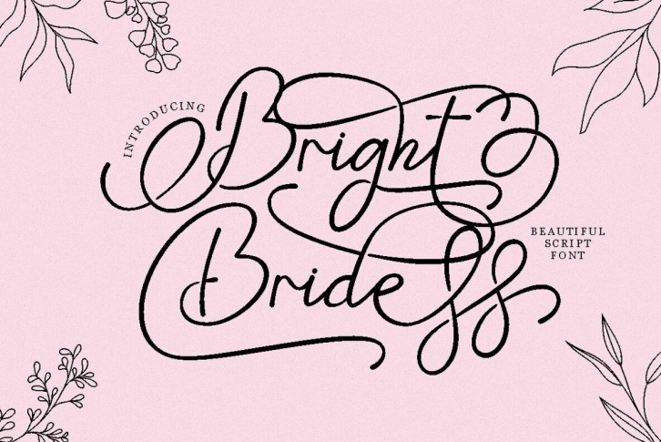 Bright Bridge Font Font Download