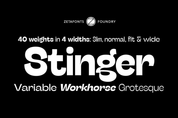 Stinger Font Font Download