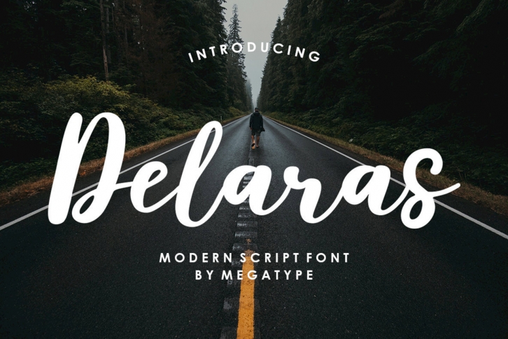 Delaras Font Font Download