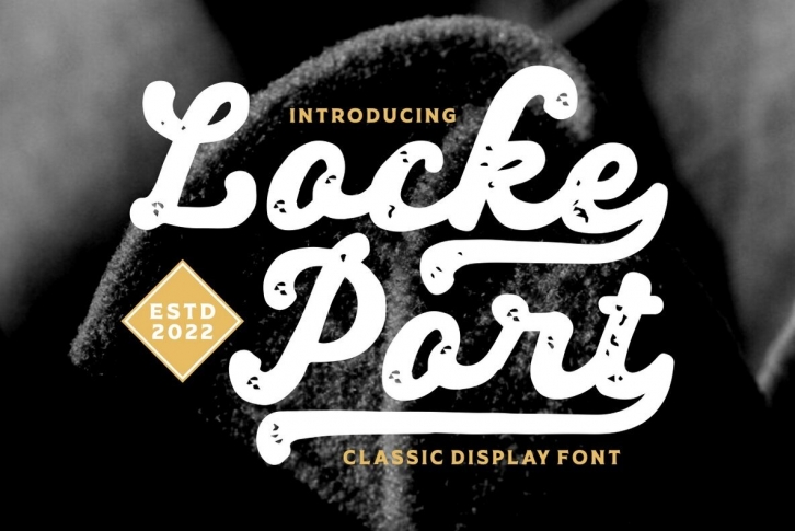 Locke Port Font Font Download