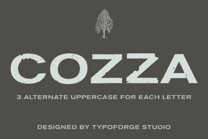 Cozza Font Font Download