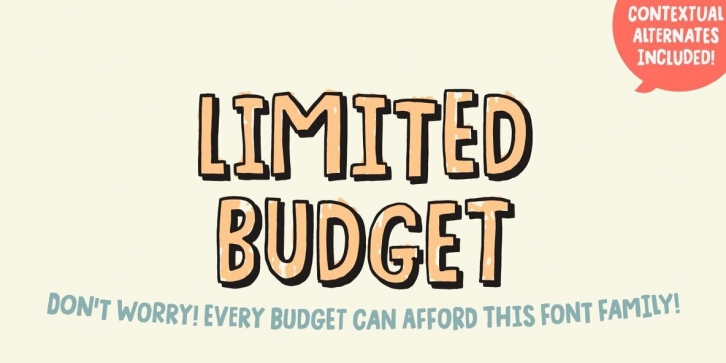 Limited Budget Font Font Download