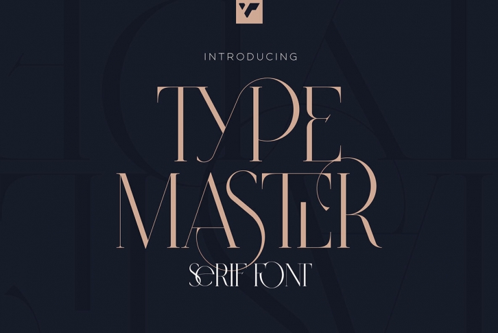 Type Master Font Font Download