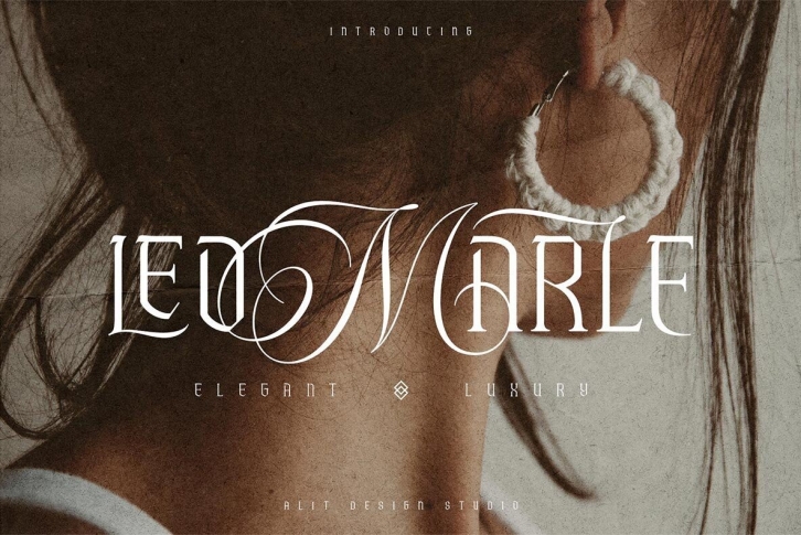 Leomarle Font Font Download