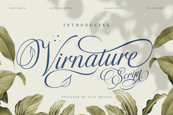 Virnature Font Font Download