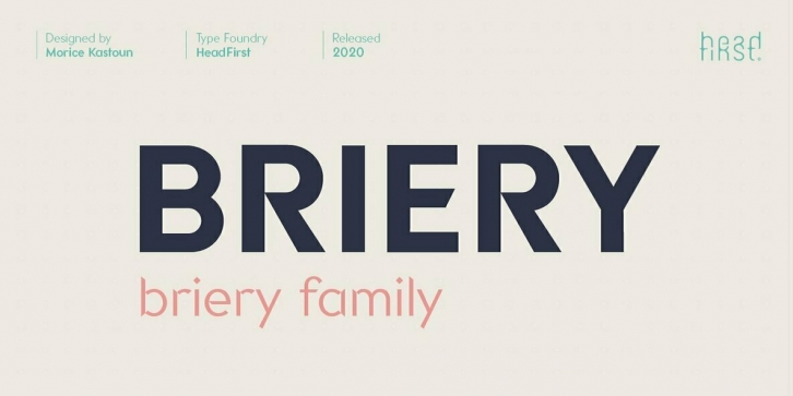 Briery Font Font Download