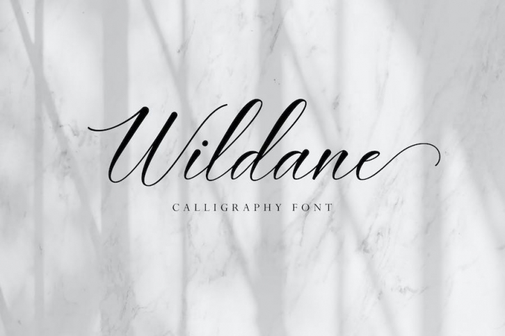Wildane | Calligraphy Font Font Download