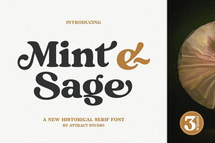 Mint And Sage Font Font Download