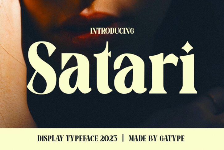 Satari Font Font Download