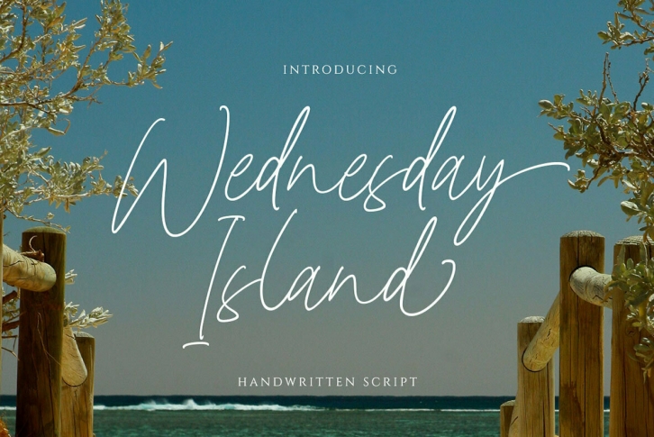 Wednesday Island Font Font Download