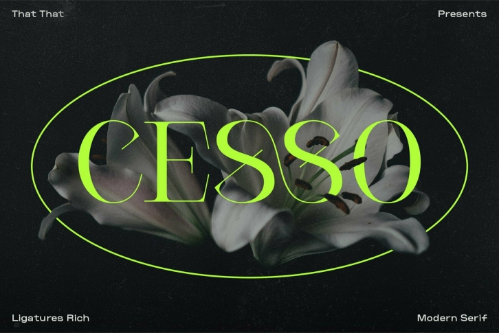 Cesso Font Font Download