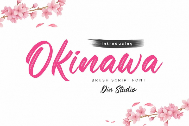 Okinawa Font Font Download