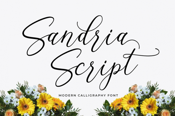 Sandria Script Font Font Download