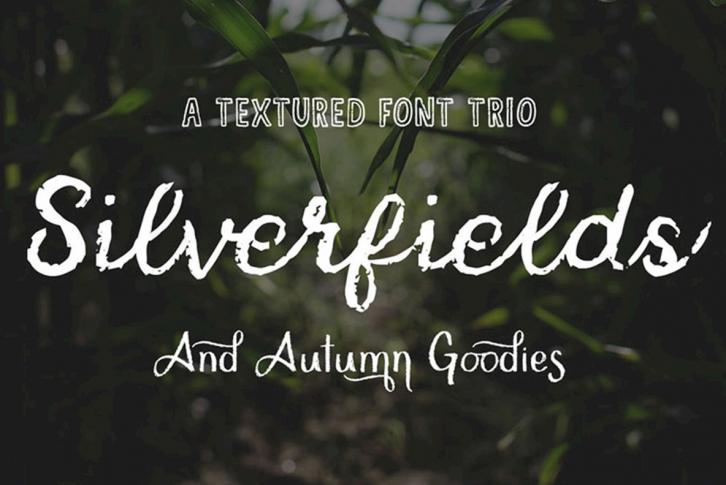 Silverfields - Trio Font Download