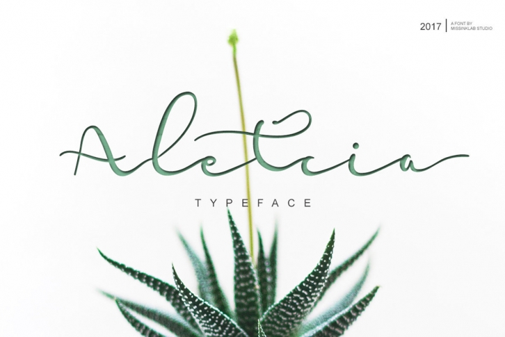 Aletcia Font Font Download