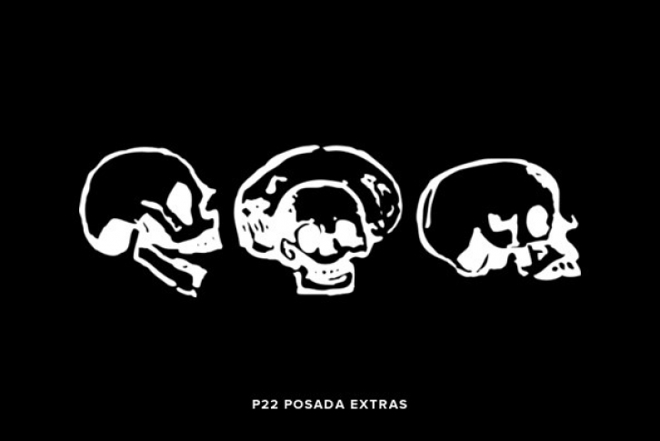 P22 Posada Extras Font Font Download