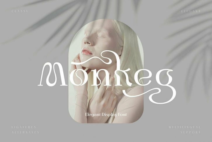 Monkeg Font Font Download