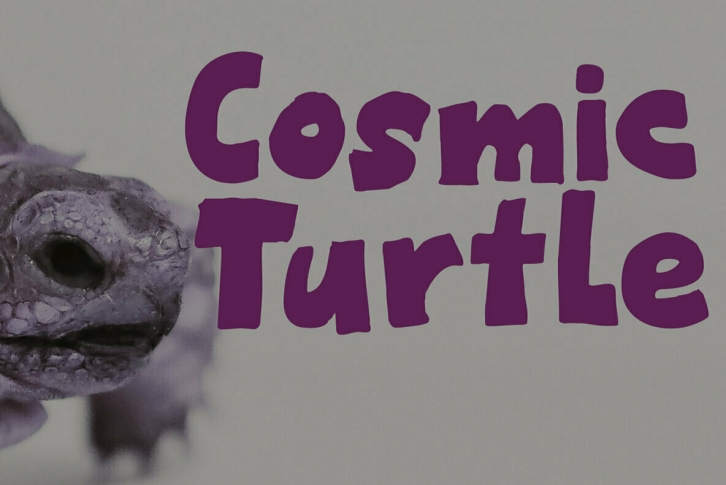 Cosmic Turtle Font Font Download