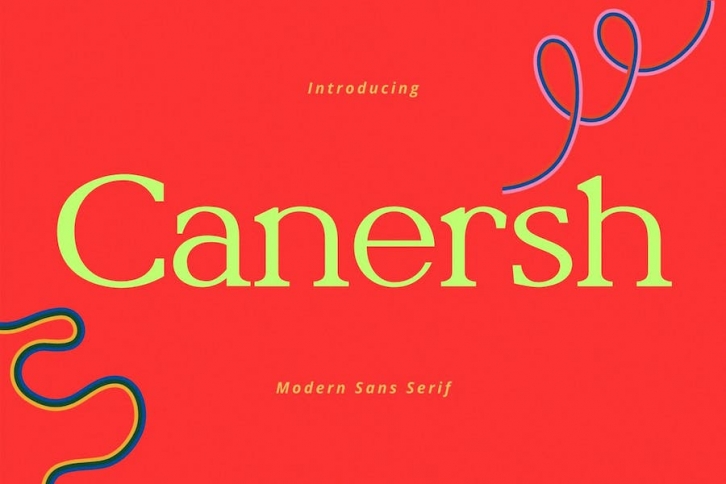 Canersh - Serif Typeface Font Download