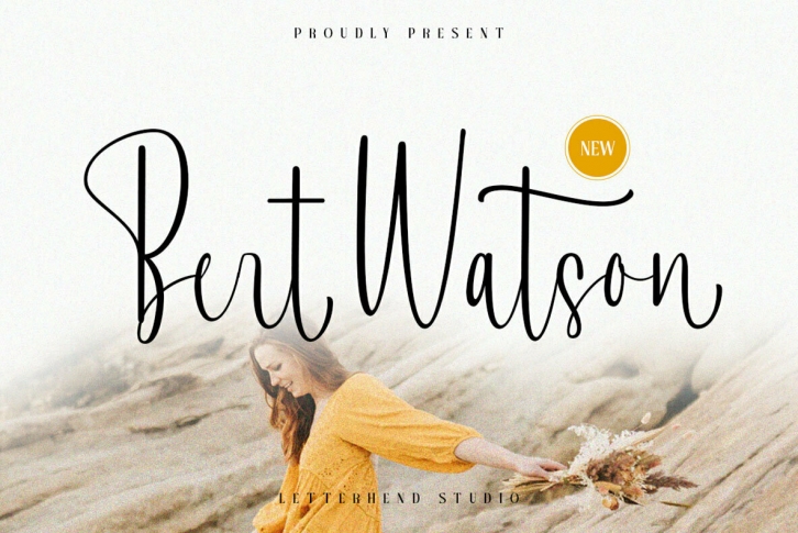 Bert Watson Font Font Download