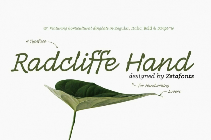 Radcliffe Hand Font Font Download