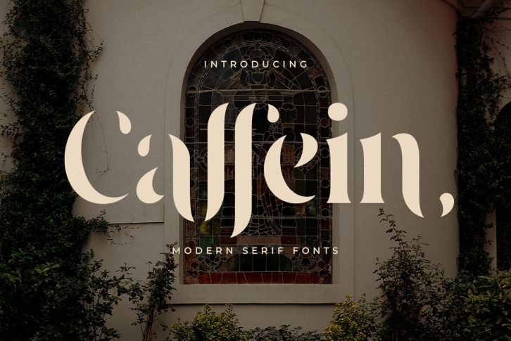 Caffein Font Font Download