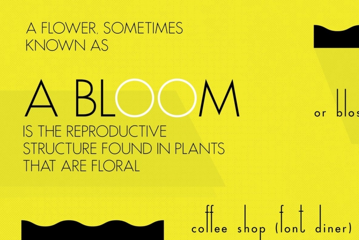 Coffee Shop Font Font Download