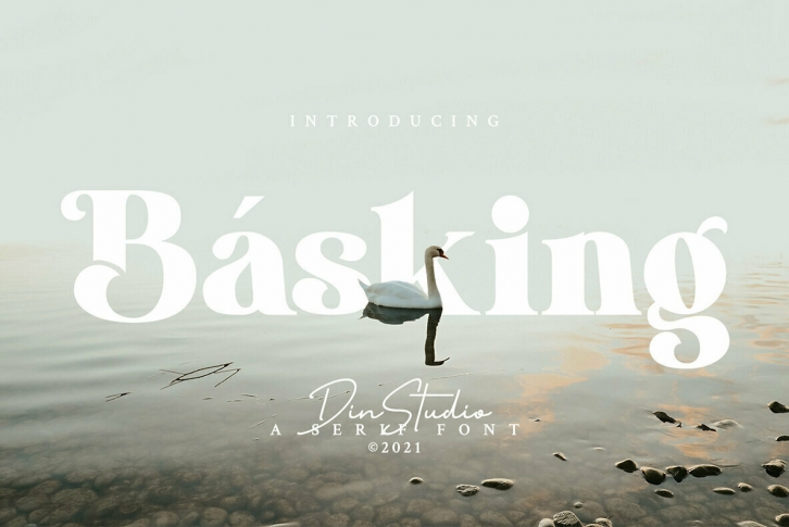 Basking Font Font Download