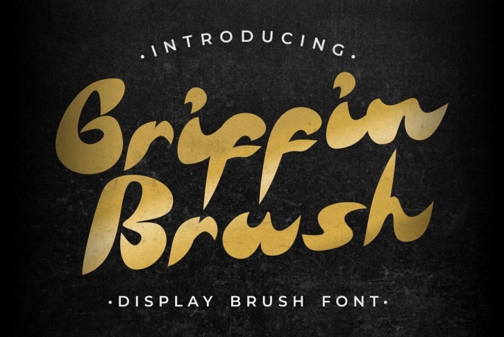 Griffin Brush Font Font Download