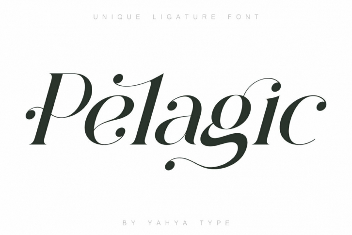 Pelagic Bird Font Font Download