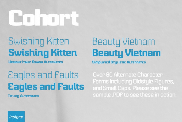 Cohort Font Font Download