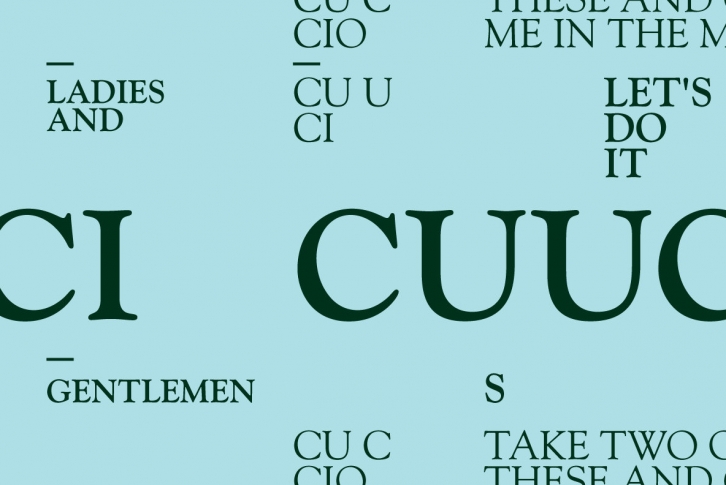 Goudy Old Style DT Font Font Download