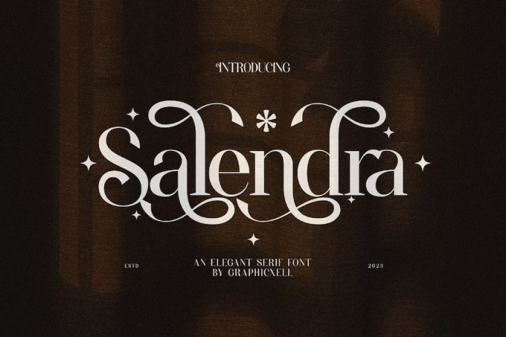 Salendra Elegant Ligature Serif Font Typeface Font Download