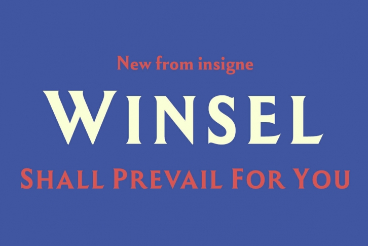 Winsel Font Font Download