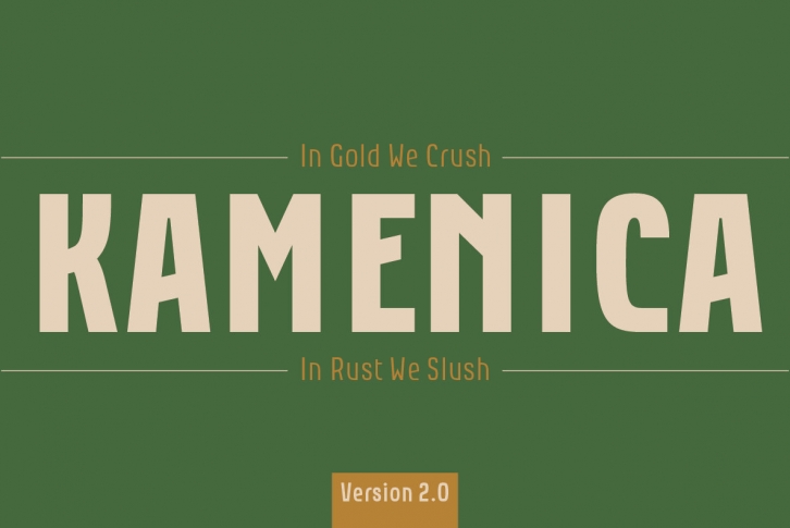 Kamenica Font Font Download