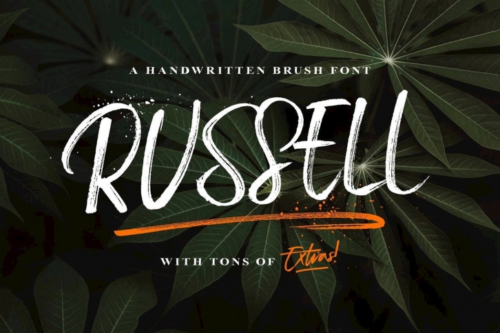 Russell Brush Script Font Font Download