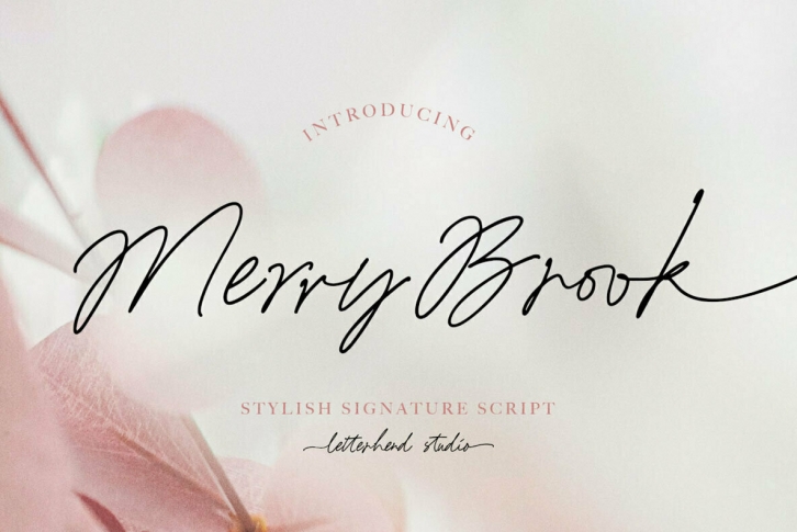 Merry Brook Font Font Download