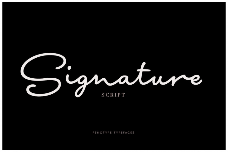 Signature Script Font Font Download