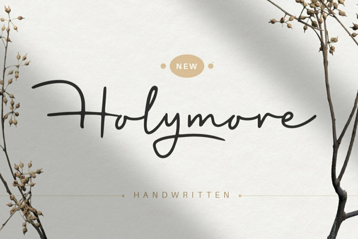 Holymore Font Font Download