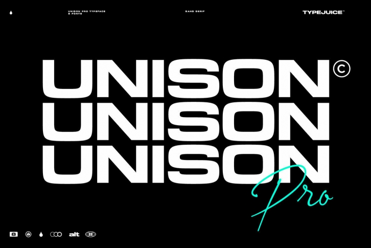 Unison Pro Font Font Download