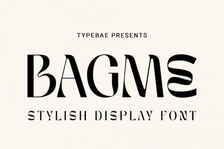 Bagme Stylish Display Font Font Download