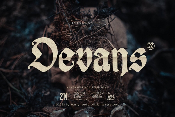 Devans Font Font Download