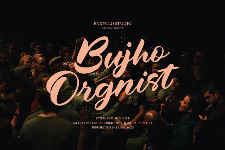 Ncl Bujho Orgnist Font Font Download